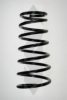 SPIDAN 55494 Coil Spring